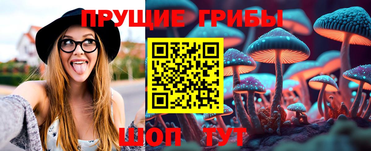 Партизанск  Галлюциногенные грибы мухоморы  Вход с VPN 