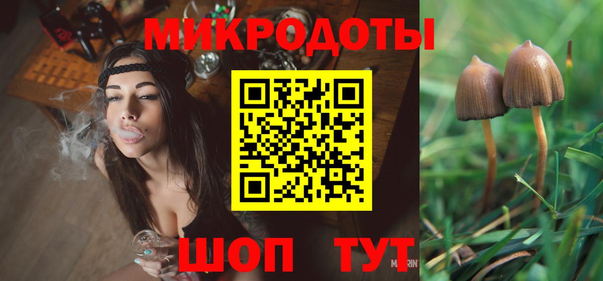 Галлюциногенные грибы Psilocybine cubensis Партизанск